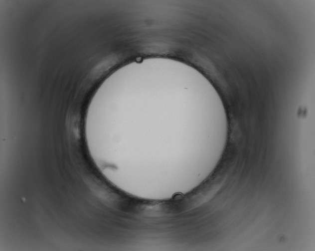 X0000102030068200808081822