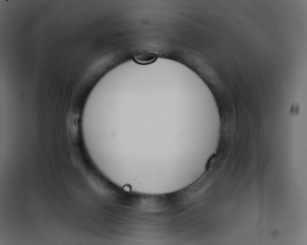 X0000102030070200808081822