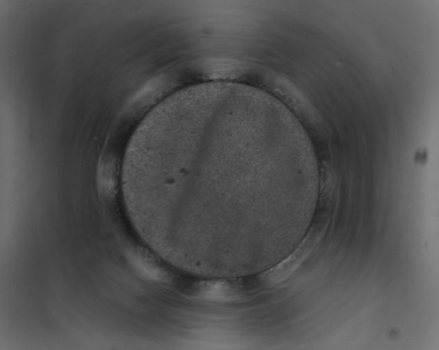 X0000102030074200808081822