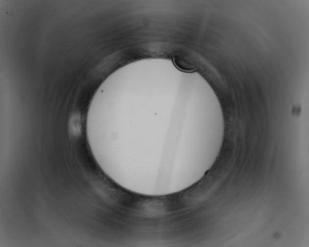 X0000102030075200808081822