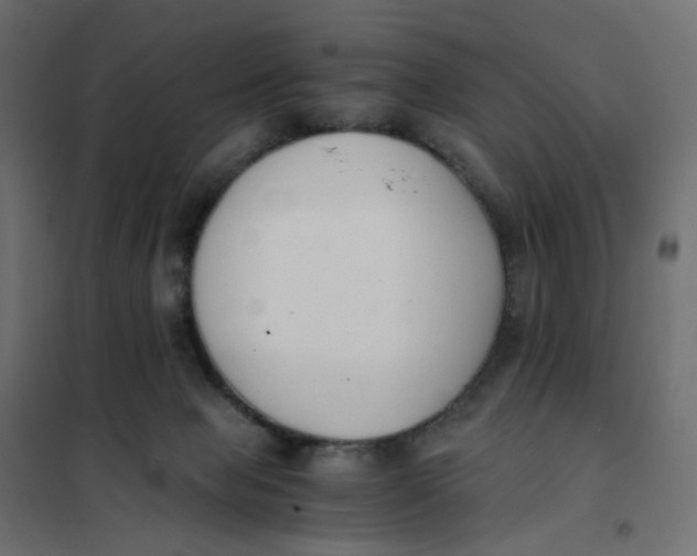 X0000102030077200808081822