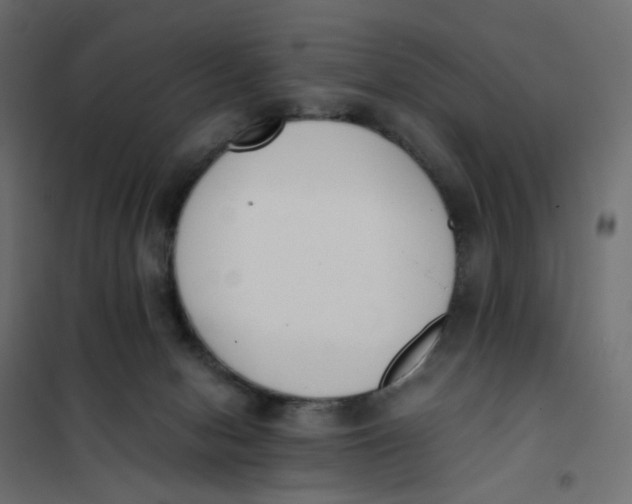 X0000102030078200808081822