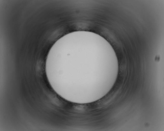 X0000102030079200808081822