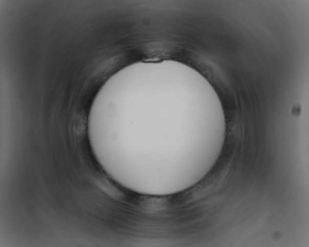 X0000102030081200808081822