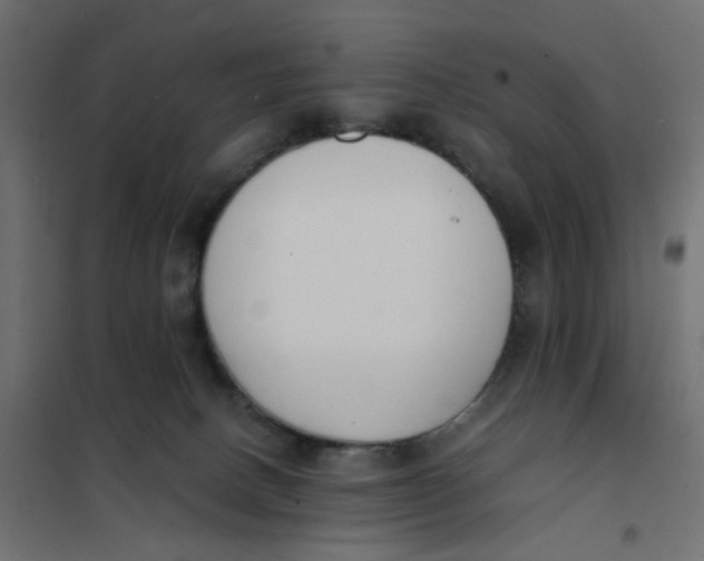 X0000102030082200808081822