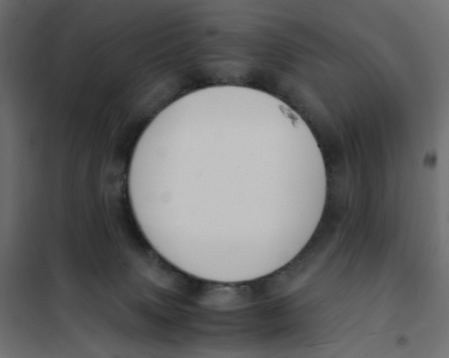 X0000102030083200808081822