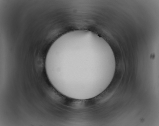 X0000102030084200808081822