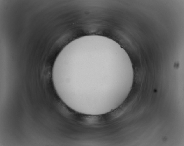 X0000102030085200808081822