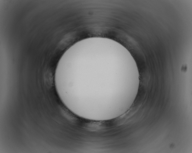 X0000102030086200808081822