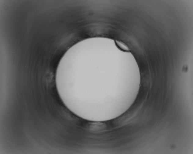 X0000102030087200808081822