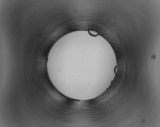 X0000102030092200808081822