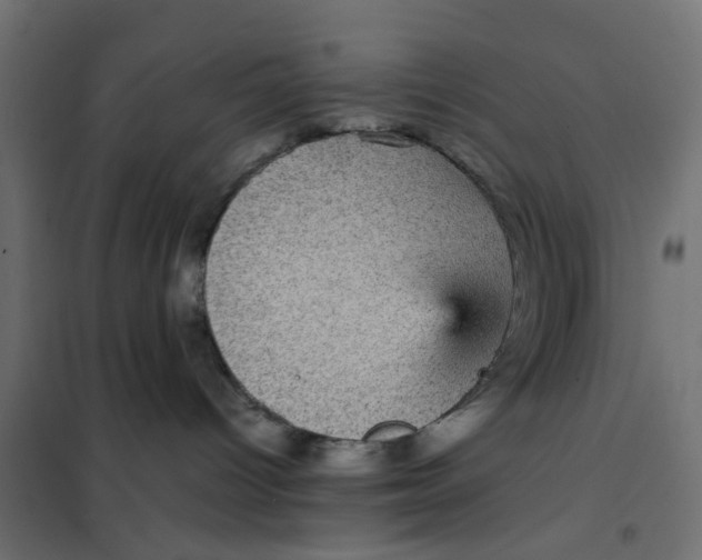 X0000102030096200808081822