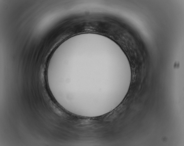 X0000102030098200808081821