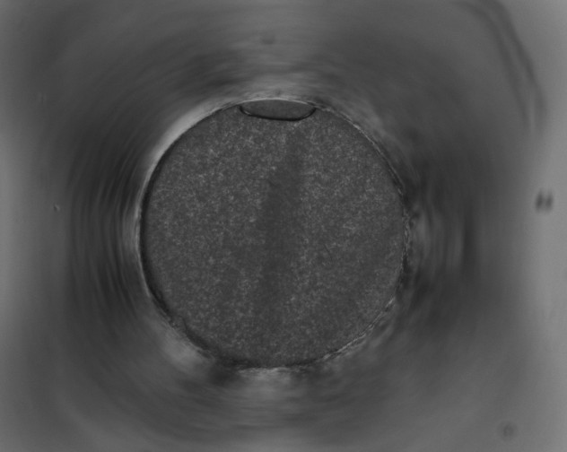 X0000102030100200808081821