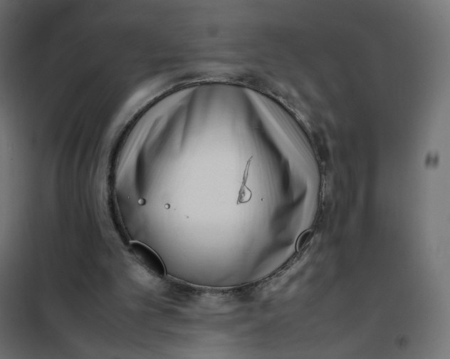 X0000102030101200808081821