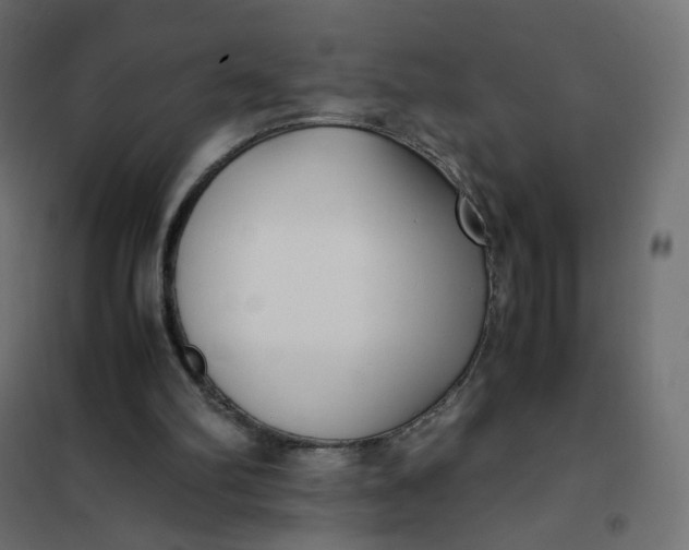 X0000102030102200808081821