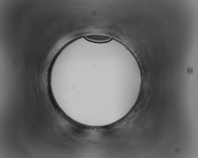 X0000102030103200808081821