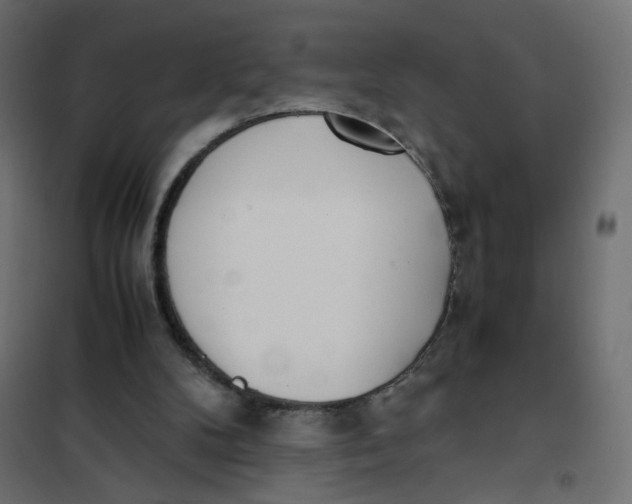 X0000102030104200808081821