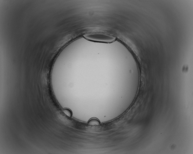 X0000102030105200808081821