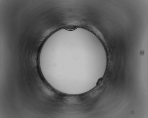 X0000102030106200808081821