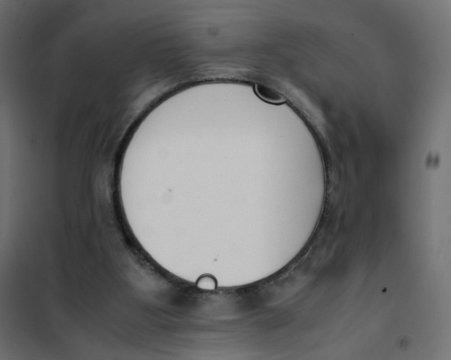 X0000102030107200808081821