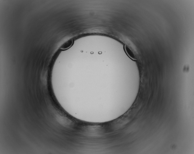 X0000102030108200808081821