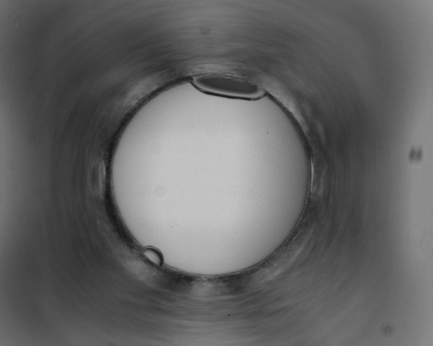 X0000102030109200808081821