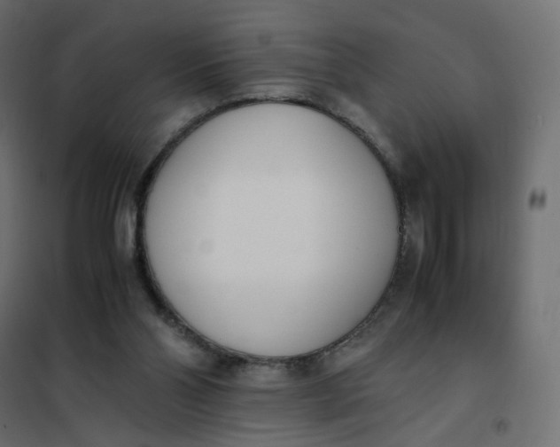 X0000102030110200808081821