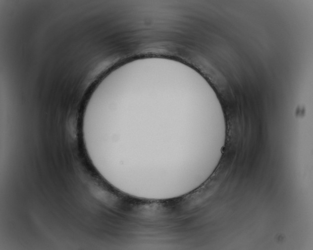 X0000102030112200808081821