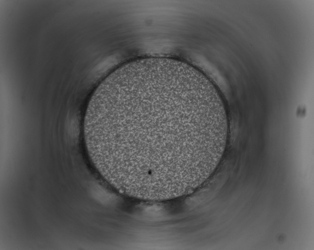 X0000102030113200808081821