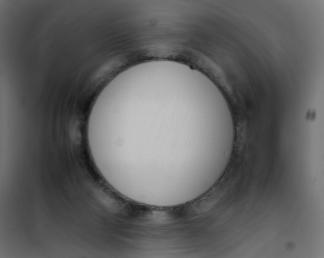 X0000102030114200808081821