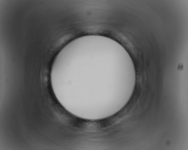 X0000102030115200808081821