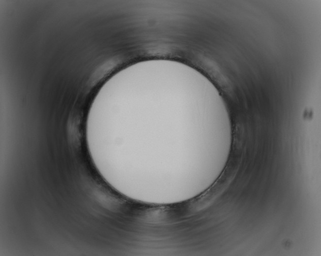 X0000102030116200808081821