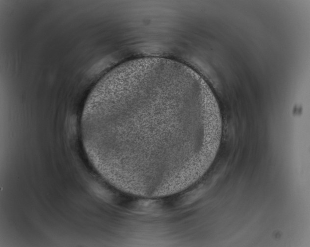 X0000102030117200808081821