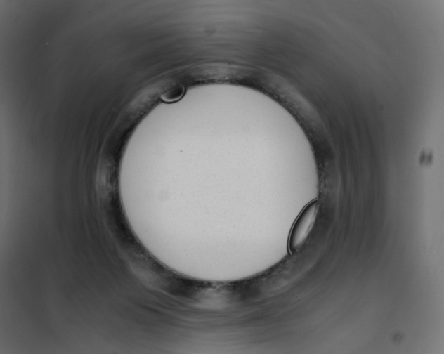 X0000102030119200808081821