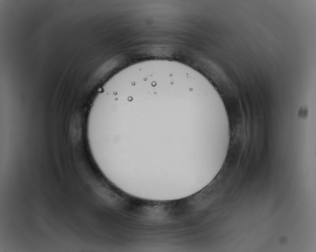 X0000102030120200808081821