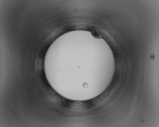 X0000102030123200808081821