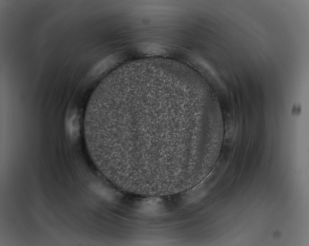 X0000102030124200808081821