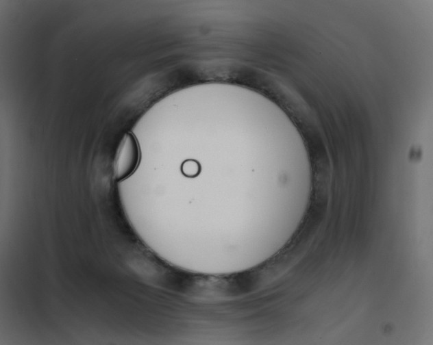 X0000102030125200808081821