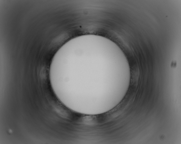 X0000102030126200808081821