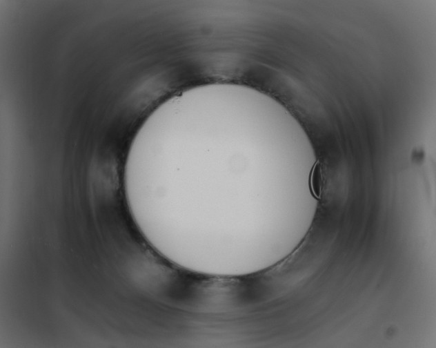 X0000102030128200808081821