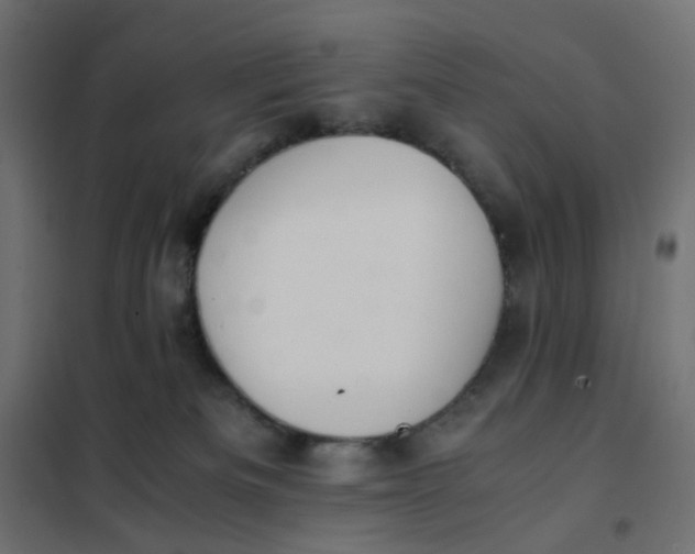 X0000102030133200808081821