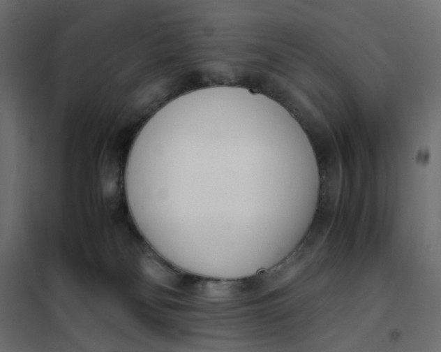 X0000102030134200808081821