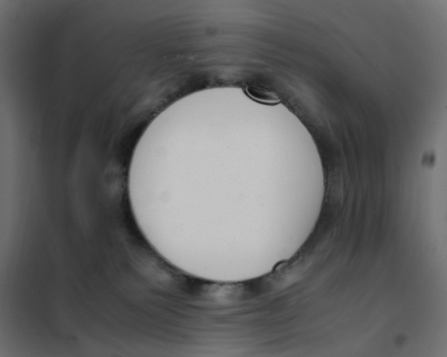 X0000102030135200808081821