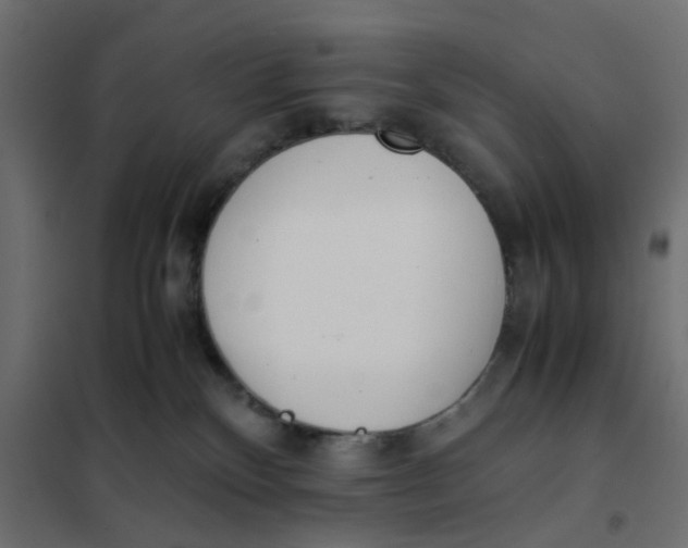 X0000102030136200808081821