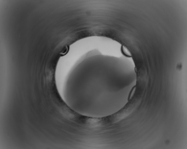 X0000102030139200808081820