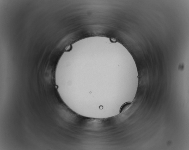 X0000102030140200808081820