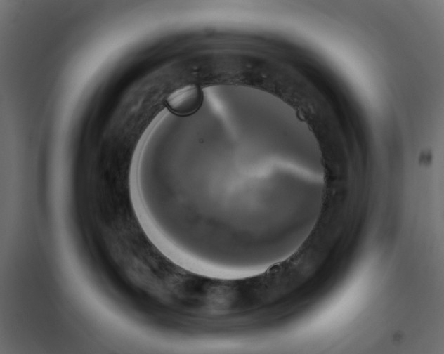 X0000102030143200808081820