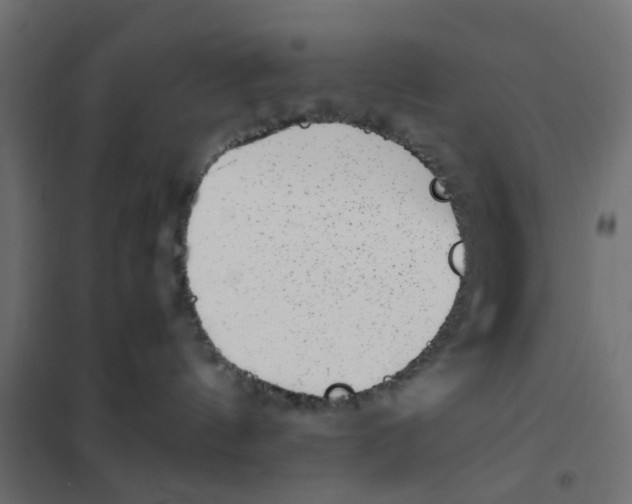 X0000102030144200808081820