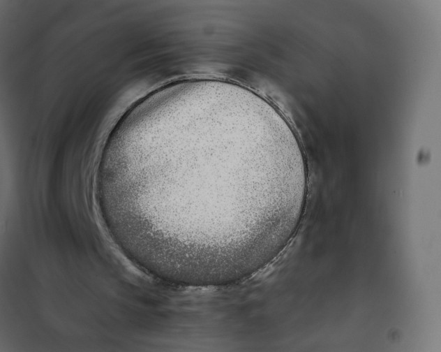 X0000102030145200808081820